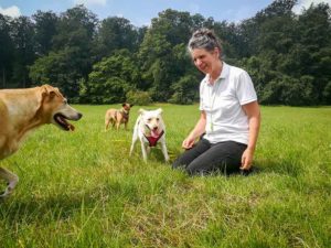 Dogwalking, Gassi gehen, Gassi Service, spazieren gehen, Hund, Urlaubspension, Hundepension, Tagesbetreuung, Hundebetreuung, übernachten, Hundeschule, Hundetraining, Kassel, Ahnatal, Baunatal, Calden, Espenau, Fuldabrück, Fuldatal, Guxhagen, Habichtswald, Kaufungen, Lohfelden, Nieste, Niestetal, Schauenburg, Vellmar, Zierenberg, Göttingen, Niedersachsen