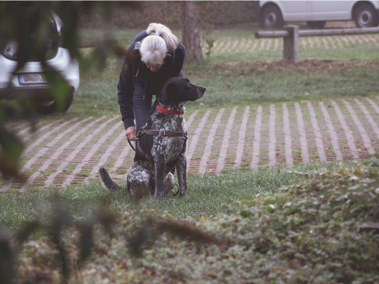 Hundeschule, Hundetraining, Verhaltenstherapie, Verhaltensberatung, Verhaltensprobleme, Coaching, Hundeerzieherin, Verhaltensberaterin, bedürfnisorientiert, Einzeltraining, Problemverhalten, Probleme mit dem Hund, Alltagstraining, Alltagsprobleme, Hundeerziehung, Erziehung von Hunden, Hundeinternat, Welpen, Junghunde, Intensivtraining, Intensivwoche, intensiv, zuhause, Leinenführigkeit, positiv, positive, Verstärkung, Belohnung, Rückruf, Seminar, online, Training im Urlaub, Wochenende, zurück kommen, Onlinekurse, Leinenaggression, Anti Gift Köder, Kleinhunde, Leinenrambo, Hibbelhund, Tierschutzhund, Sozialisierung, Hundeführerschein, Angsthund, aggressiver Hund, Tricktraining, Tricks, Hundebetreuung, Dogwalking, Gassi gehen, Gassi Service, Kassel, Ahnatal, Baunatal, Calden, Espenau, Fuldabrück, Fuldatal, Guxhagen, Habichtswald, Kaufungen, Lohfelden, Nieste, Niestetal, Schauenburg, Vellmar, Zierenberg, Göttingen, Niedersachsen, Hessen, Nordhessen, Südniedersachsen, Ostwestfalen, Diemelstadt, Warburg, Breuna